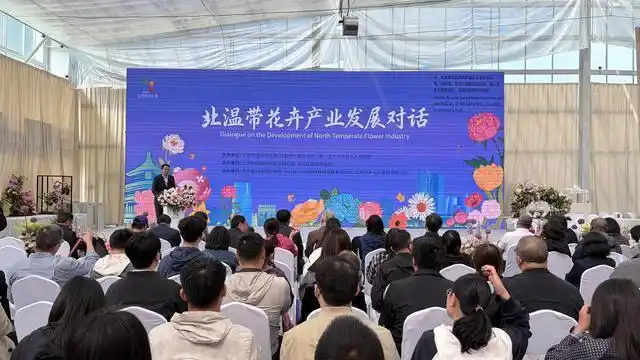 年产值已突破5200亿元！2026北京国际花展共话北温带花卉产业发展