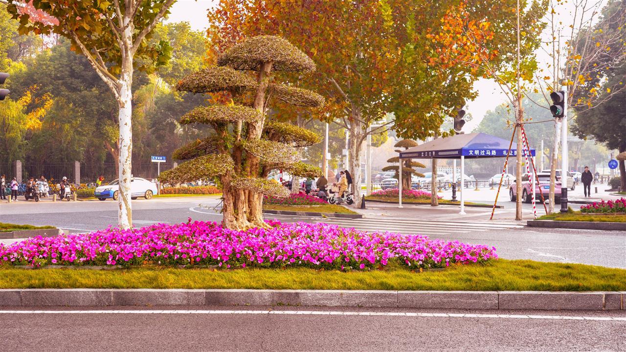 冬日街头也有花团锦簇！武昌区迎新年亮&ldquo;花招&rdquo;