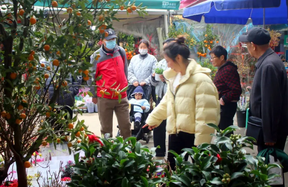 苏州：新年临近 花卉走俏