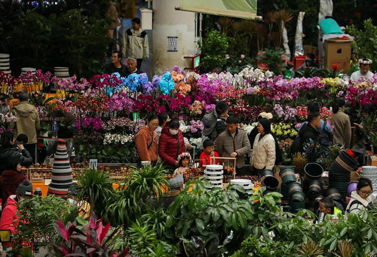 云南昆明斗南花卉市场交易红火