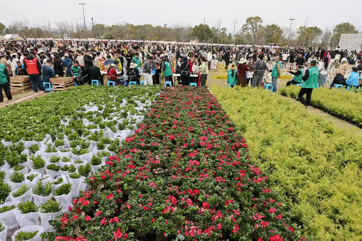 宁波慈溪这场顶流盛事再出圈，&ldquo;花经济&rdquo;释放乘数效应