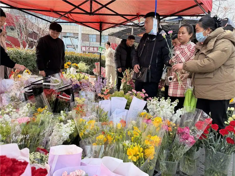 亳州：花卉苗木市场迎来销售旺季