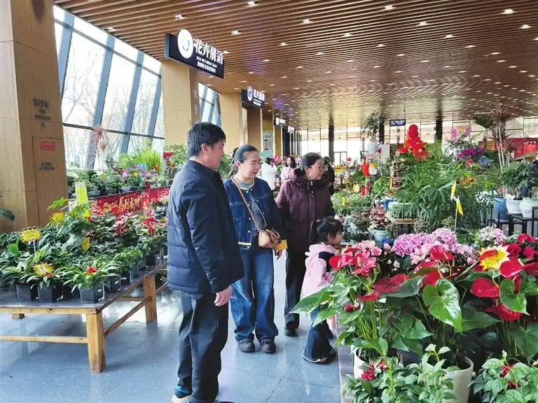 晋源花市各色时令鲜花绿植集中&ldquo;上新&rdquo;