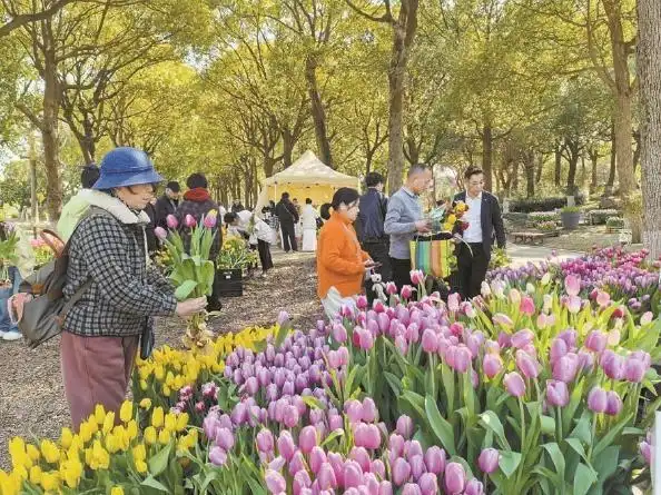 泛舟赏花，上海鲜花港春季花展开幕